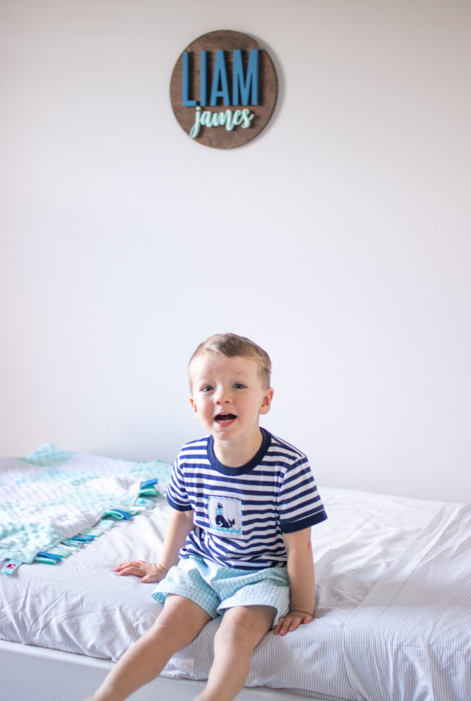 Toddler Boy Bedroom- Nautical/Whale Theme